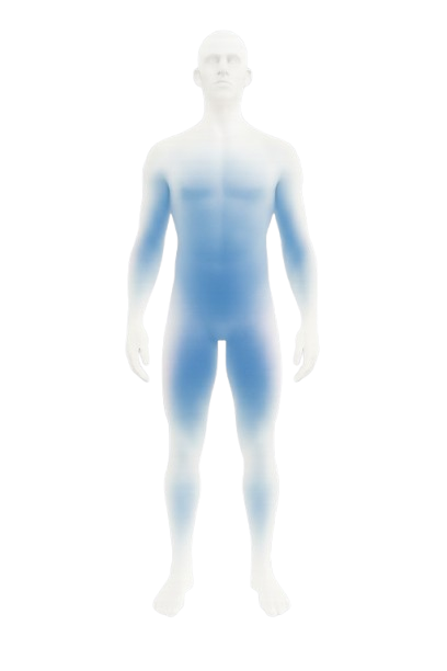 Body Composition - muscle